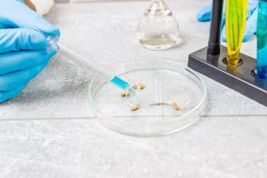 硝酸還原酶活性檢測試劑盒 硝酸還原酶活性檢測試劑盒