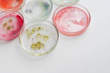 胞漿異檸檬酸脫氫酶活性檢測(cè)試劑盒圖1