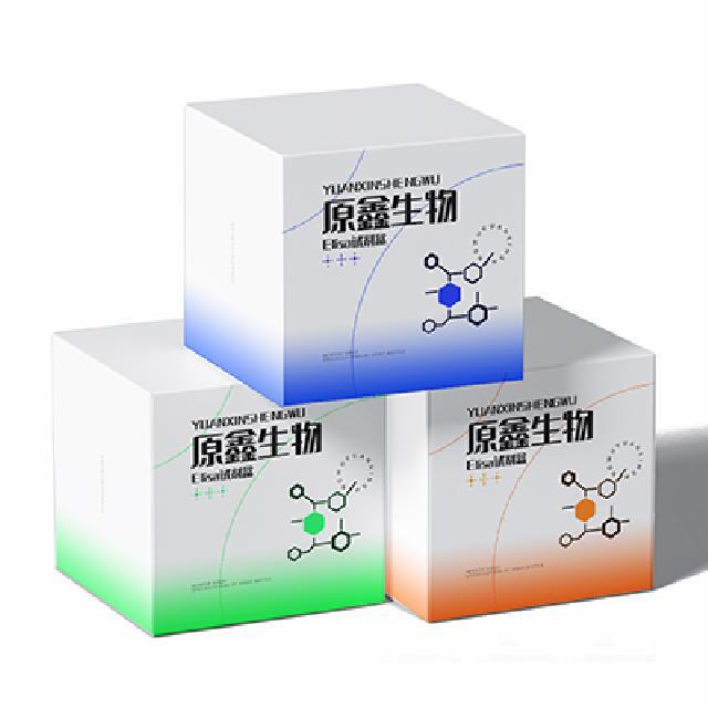 人激動異構(gòu)酶/細胞分裂素MB(CKMB)試劑盒